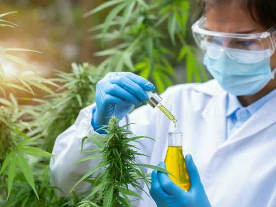 Laborban tesztelt CBD Olaj